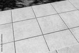 preview bw