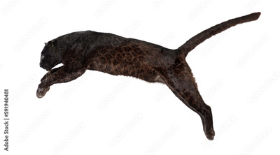 image to crop