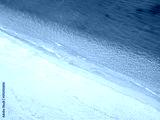 preview cold