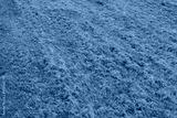 preview cold
