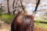 preview original
