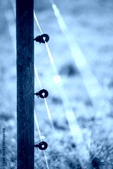 preview cold