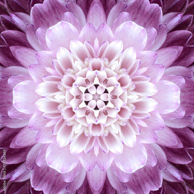 image to crop