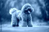 preview cold