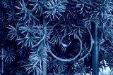 preview cold