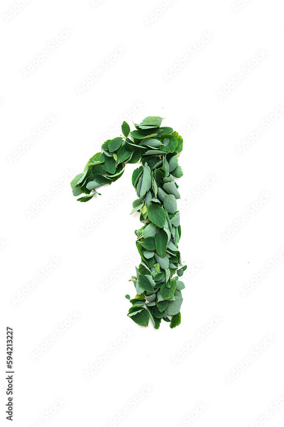 image to crop