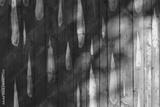 preview bw