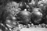 preview bw