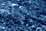preview cold