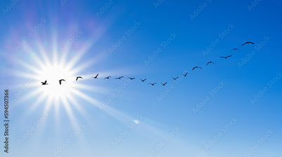image to crop
