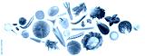 preview cold