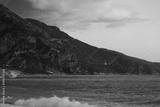 preview bw