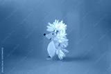 preview cold