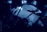 preview cold