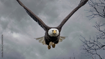 image to crop