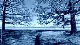 preview cold