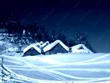 preview cold