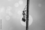 preview bw