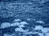preview cold