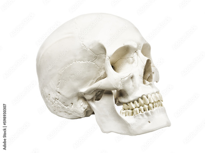 image to crop