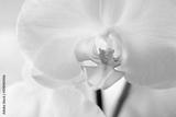 preview bw