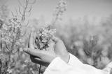 preview bw