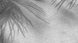 preview bw