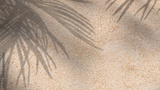 preview original