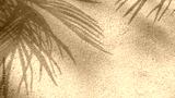 preview sephia