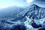 preview cold