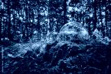 preview cold