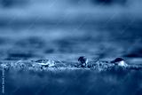 preview cold