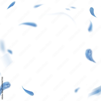 image to crop