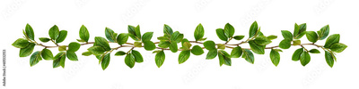 image to crop