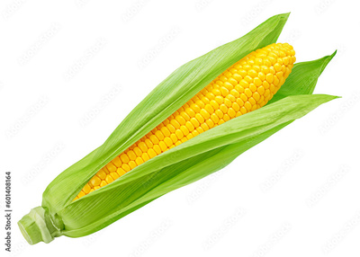 image to crop