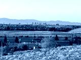 preview cold