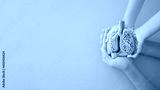 preview cold