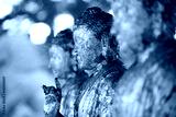 preview cold