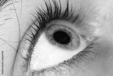 preview bw
