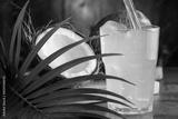 preview bw