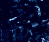 preview cold