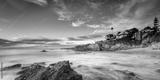 preview bw