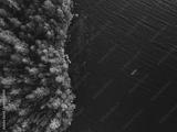 preview bw