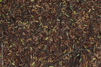 image to crop