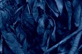 preview cold