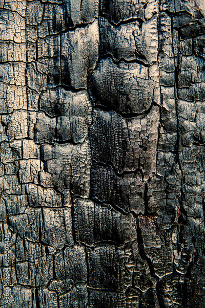 image to crop