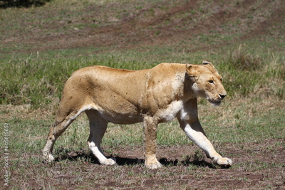 image to crop