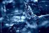 preview cold