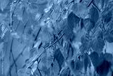 preview cold