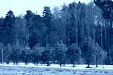 preview cold